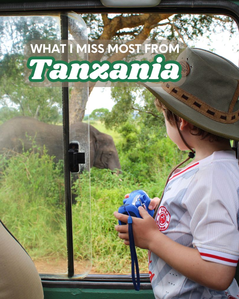 Small child boy with kids camera and safari hat watching an elephant out of a car window while on safari wearing a Simba United jersey in Tanzania.