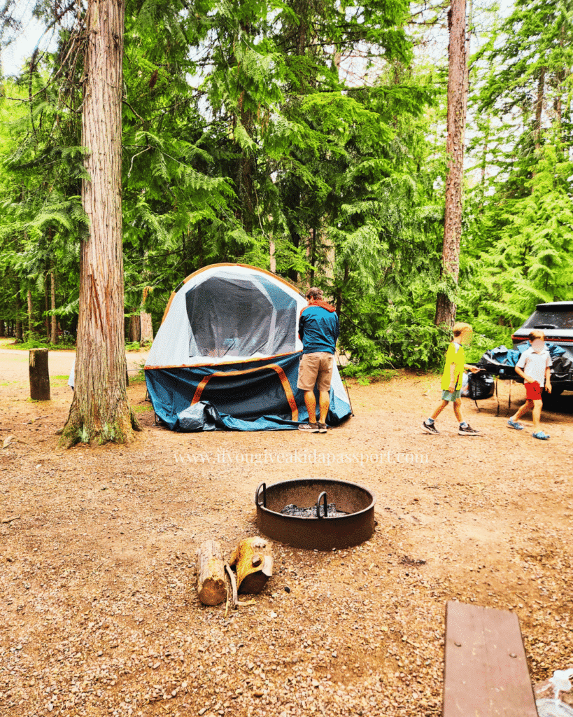 where to camp in Glacier National Park? Here w are taking down the tent at Fish Creek campground in Glacier National Park.
