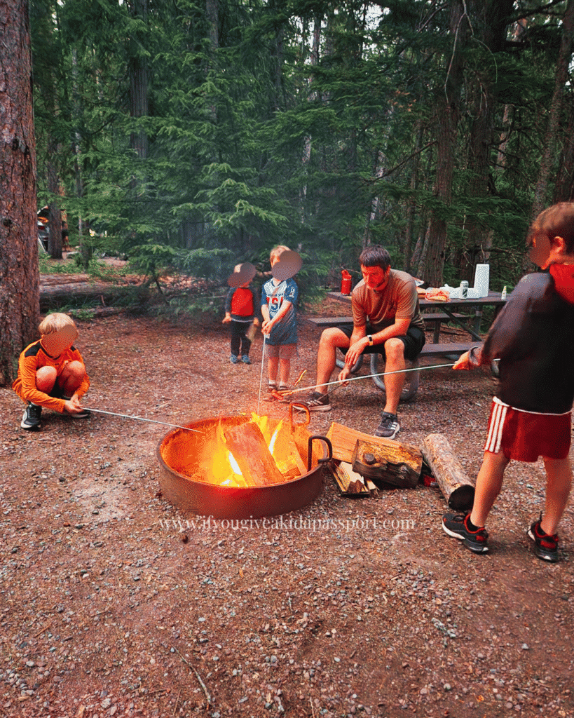 Fish Creek campground in Glacier National Park Loop A, Site A28. The best site!