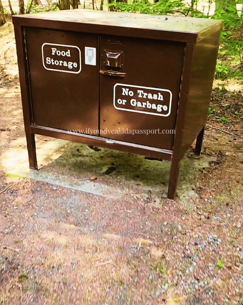 Bear box for food storage at Fish Creek campground in Glacier National Park