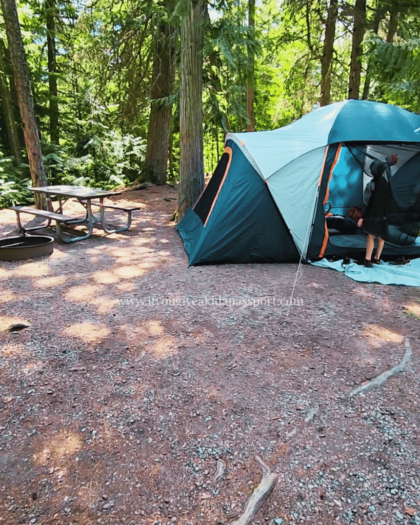 Fish Creek campground in Glacier National Park showing a picnic table and tent set up with forest in the background. Very peaceful campsite at Loop A, Site A28.