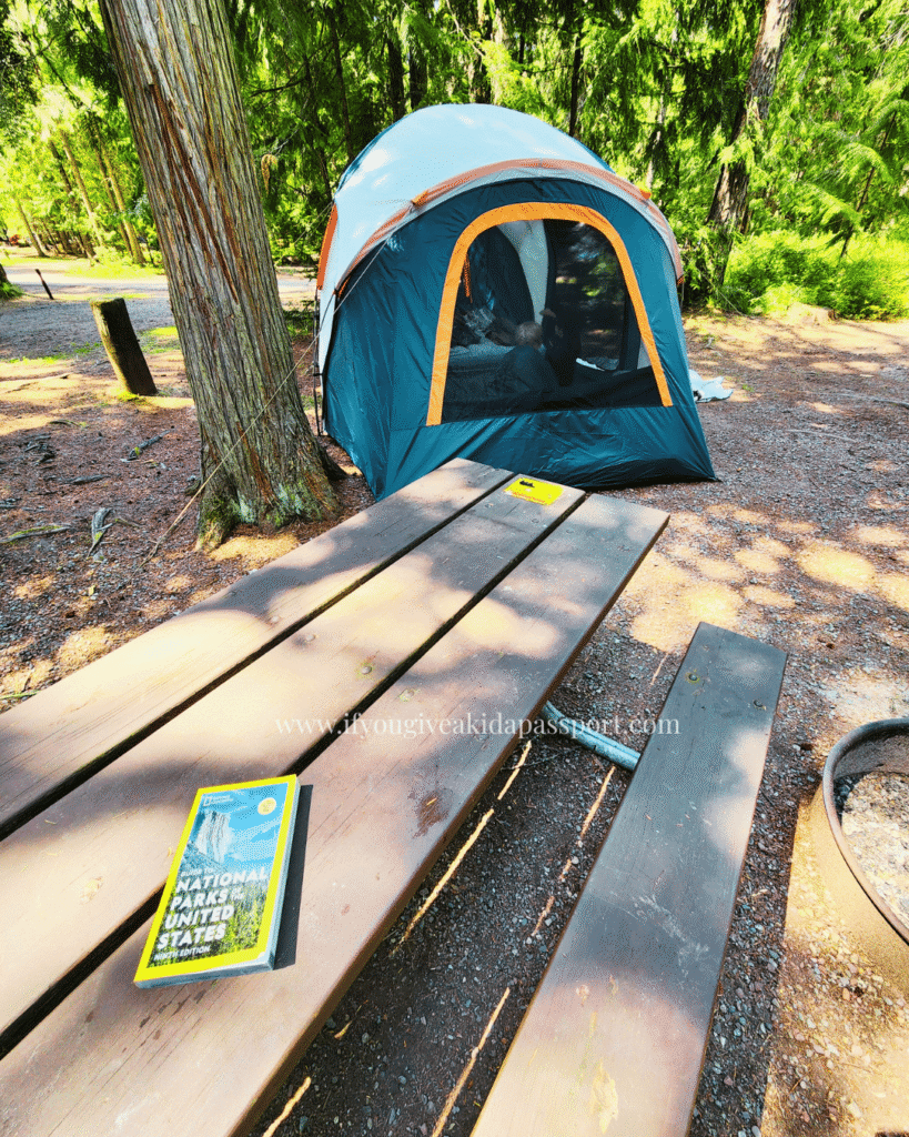 Fish Creek campground in Glacier National Park